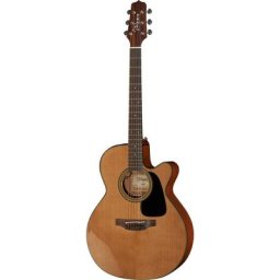Takamine P1NC Pro Series