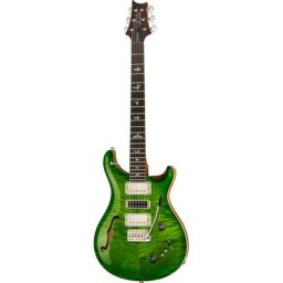 PRS Special Semi-Hollow 22 CC ER