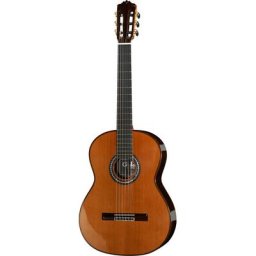 Cordoba C10 Cedar