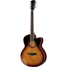 Larry Carlton A4-G VS