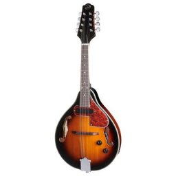 Gewa VGS Mandoline A-1 Select PU