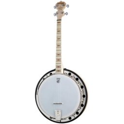 Deering Goodtime Two 17 Fret Tenor