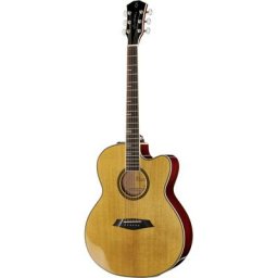 Larry Carlton A4-G NT