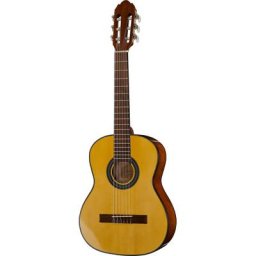 Gewa Student Solid Top Spruce 1/2