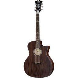 DAngelico Premier Gramercy LS