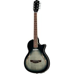 Harley Benton Custom Line Nashville-Steel