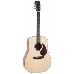 Recording King RD-G6 Solid Top Dreadnought
