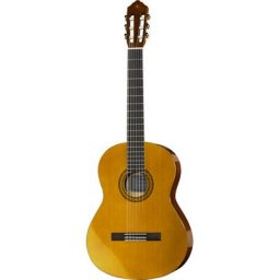 Yamaha CGS104