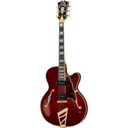 Dangelico Excel 59 Viola