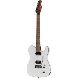 Harley Benton Fusion-T HH Roasted SW