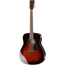 Yamaha FG830 TBS