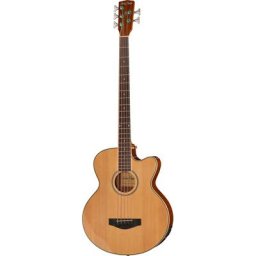 Harley Benton B-35 5-String Akustikbass Natur