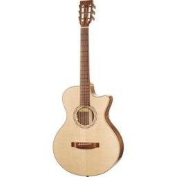 Lakewood A-22 CP Custom Regio Wood