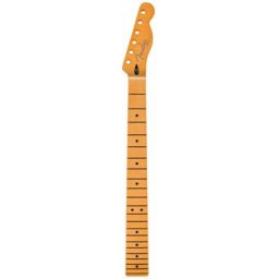 Fender Player Plus Tele Neck MN