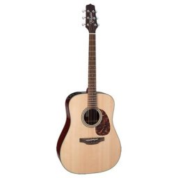 Takamine FT340BS