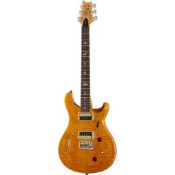 PRS SE Custom 22 Semi-Hollow SY