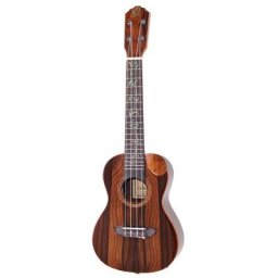 Ortega RUET-ZC
