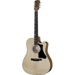 Gibson G-Writer EC Natural Generation