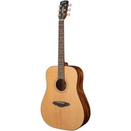 Framus FD 14 SV Dreadnought LH VTN