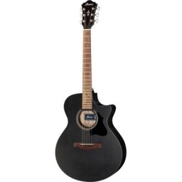 Ibanez AE295-WK