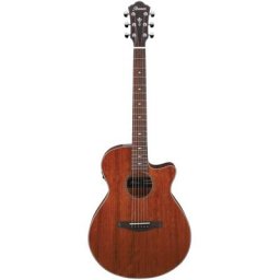 Ibanez AEG220-LGS