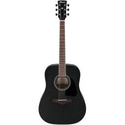 Ibanez AW84-WK Artwood