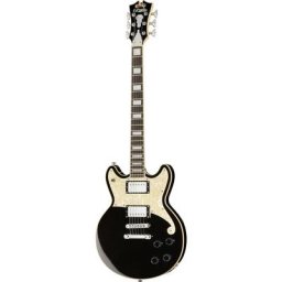 Dangelico Premier Brighton Black Flake