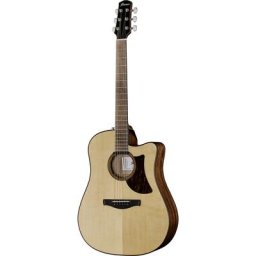 Ibanez AAD300CE-LGS