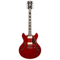 DAngelico Premier DC Boardwalk P90 TC