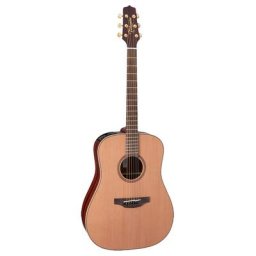 Takamine FB15 AR