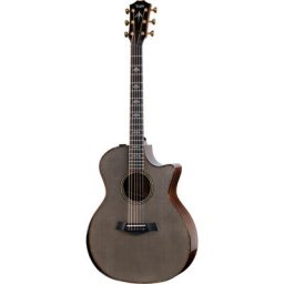 Taylor Custom #20 GA