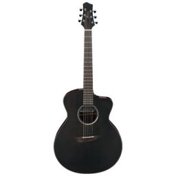 Ibanez JGM5-BSN