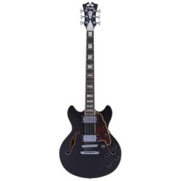 Dangelico Premier Mini DC Black Flake