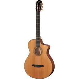 Furch GNc2-CW w/ LR Baggs EAS-VTC