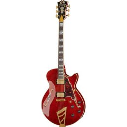 Dangelico Excel SS Viola