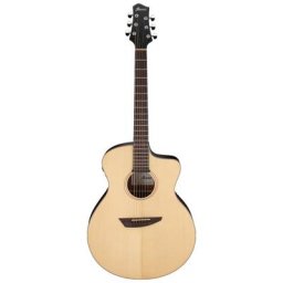 Ibanez PA300E-NSL