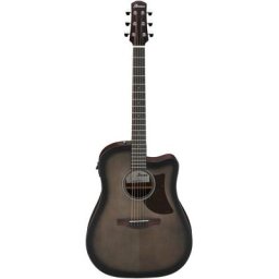 Ibanez AAD50CE-TCB