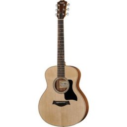 Taylor GS Mini-e RW