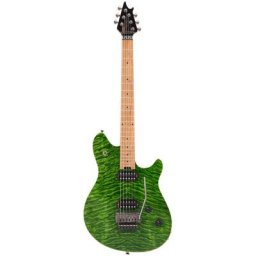 Evh Wolfgang WG Std QM TG