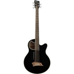 Warwick RB Alien Standard 5 BK FL HP