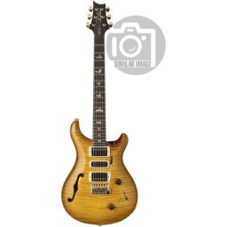 PRS Special Semi-Hollow MS