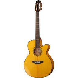 Takamine CNC-WS2