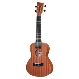 VGS Manoa Patea P-CO