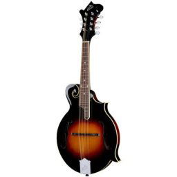 The Loar LM-520-VS