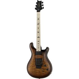 PRS CE 24 Dustie Waring Floyd B8