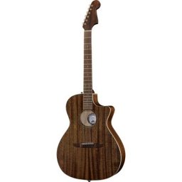 Fender Newporter Special MAH w/Bag