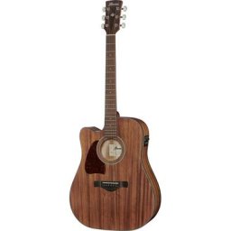 Ibanez AW54LCE-OPN