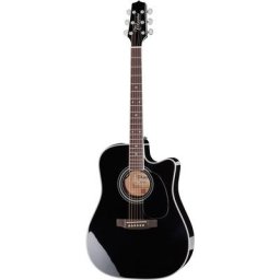 Takamine EF341SC Bruce Springsteen