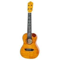 Ortega RUET-QMA
