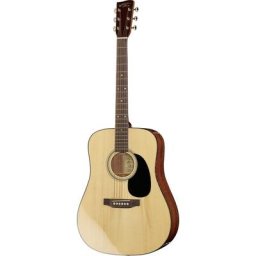 Recording King RD-318 Adirondack